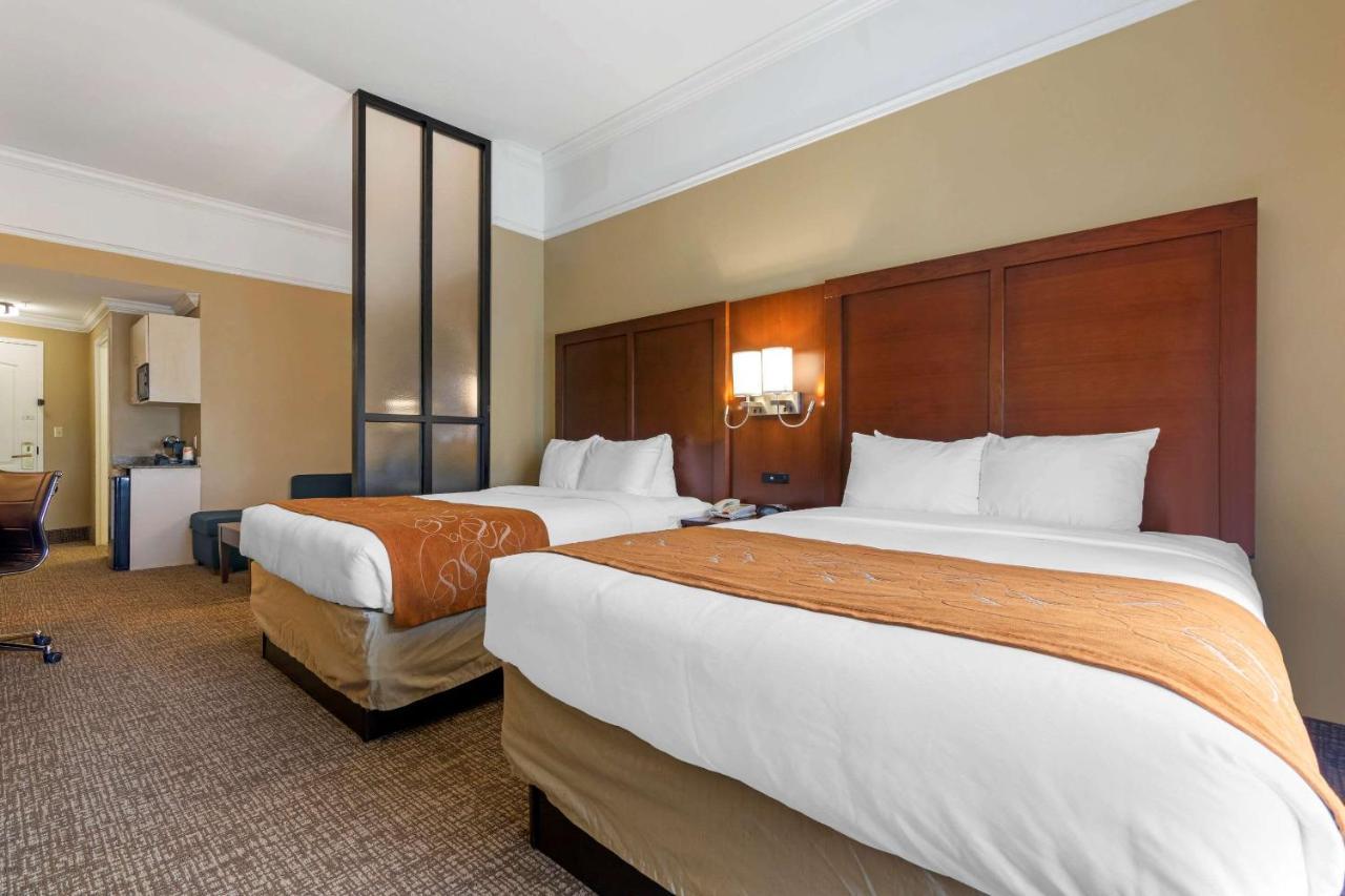 Comfort Savannah North